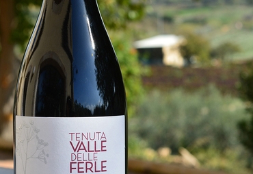 VALLE DELLE FERLE: VINI SICILIANI A TAVOLA